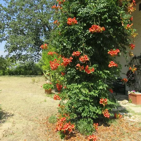 San Paolo Holiday home